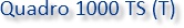 Quadro 1000 TS(T)